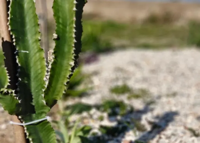 Helia بيت للعطل