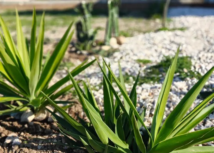Σπίτι διακοπών Helia